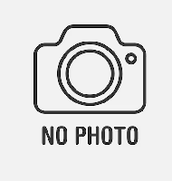 MERV (2025) WEB-DL 1080P HD MKV ESPAÑOL LATINO | PelisMKVHD